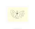 Butterfly Picasso